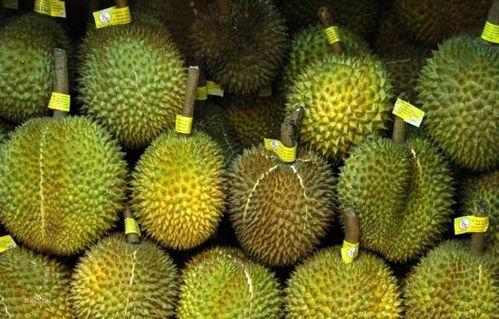 榴莲视频成人影院禁18,成人影院，18岁禁入的神秘世界揭秘