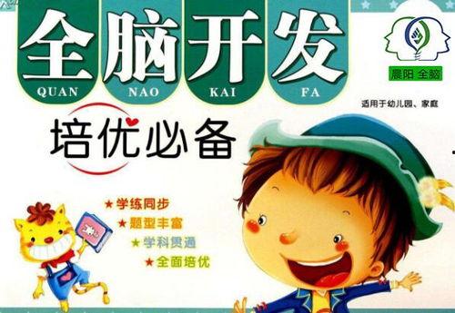 成人全脑开发训练视频,成人全脑开发训练视频深度解析