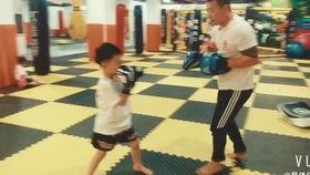 成都成人搏击训练视频,激情四溢的实战技巧展示